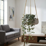 Hanging Eileen Grau Blumenampel aus Fiberclay hängend