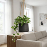 Hanging Patt Schwarz Blumenampel Schwarz aus Fiberclay || Abgebildete Größe: L