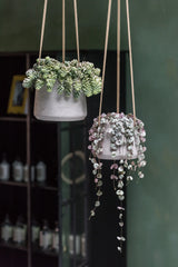 Hanging Patt Set Grau – Offenporige Fiberclay-Oberfläche in Beton-Optik || Offenporige Oberläche