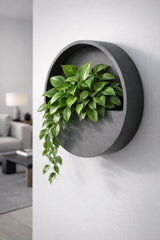 Hanging Wally Wandpflanzschale Grau aus Fiberstone – moderne Wandbegrünung im Setting