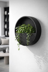 Hanging Wally Wandpflanzschale Schwarz aus Fiberstone – an der Wand montiert mit Pflanze