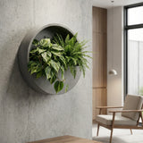 Hanging Wally Wandpflanzschale Grau aus Fiberstone – an der Wand montiert mit Pflanze