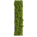 Islandmoos Piktogramm Buchstabe Finestgreen 