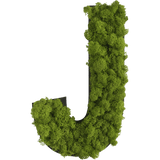 Islandmoos Piktogramm Buchstabe Finestgreen 