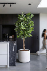 Jumbo Charlie Ivory Washed - Finestgreen || Frost- & UV-beständig | Robuster Ficonstone