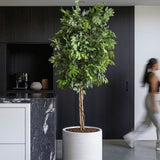 Jumbo Charlie Ivory Washed - Finestgreen || Frost- & UV-beständig | Robuster Ficonstone