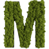 Islandmoos Piktogramm Buchstabe Finestgreen 