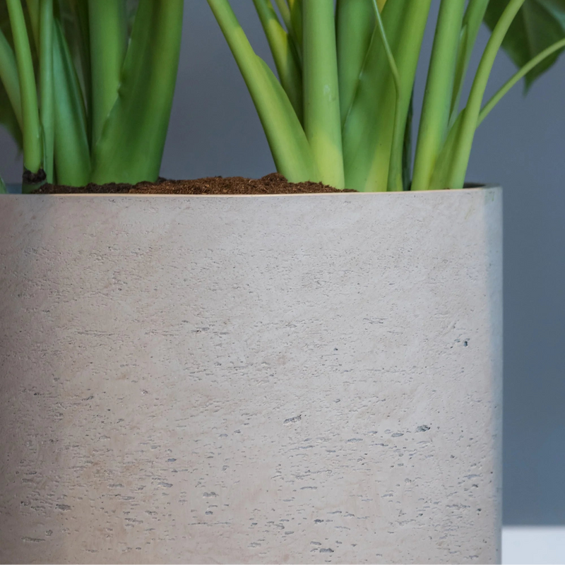 Fiberclay Pflanzgefäße