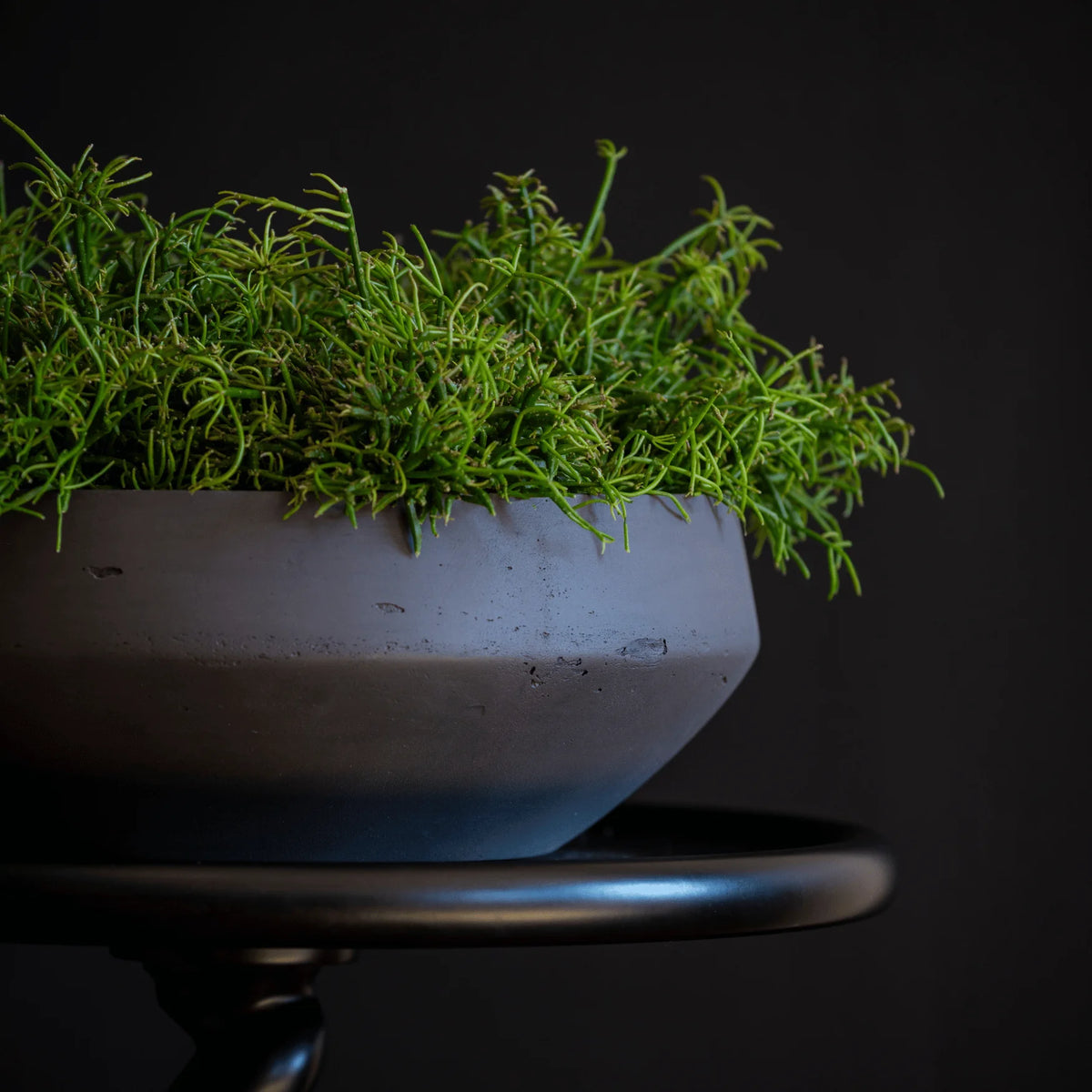 Material – Fiberclay
