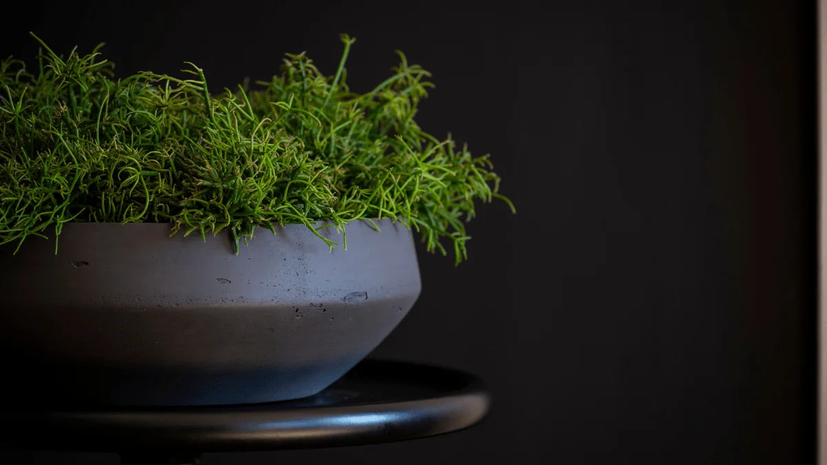 Material – Fiberclay