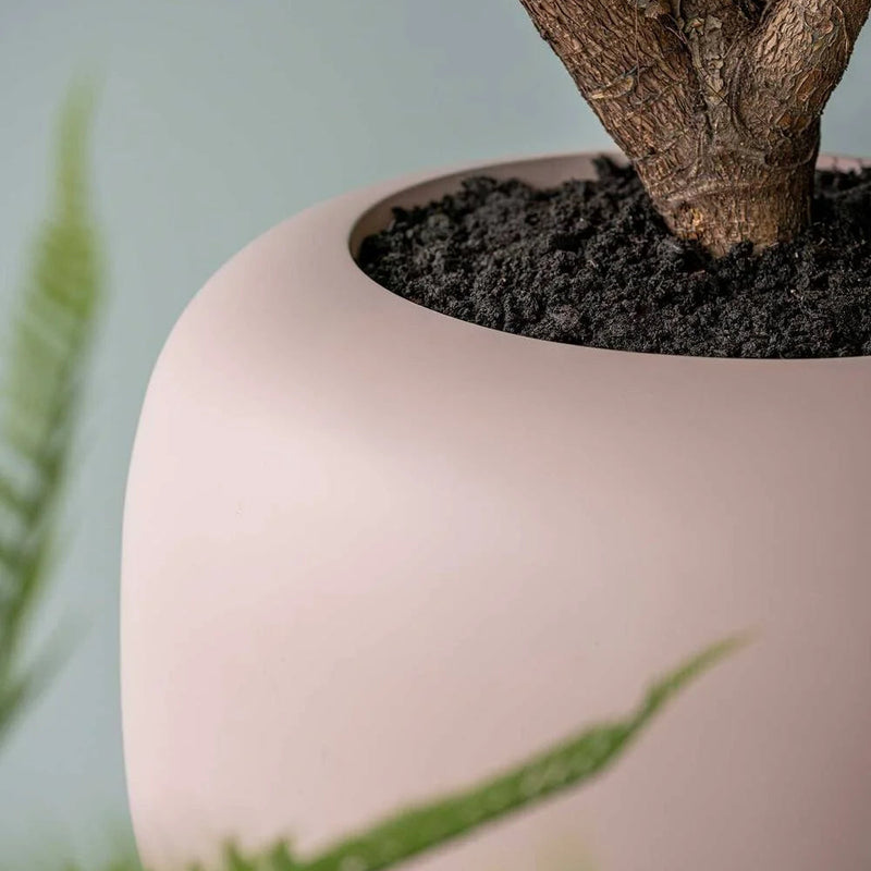 Fiberglas Pflanzgefäße