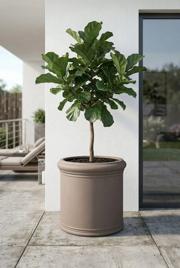 Pflanzkübel rund Max Classic Taupe mit Bordüre
