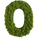 Islandmoos Piktogramm Buchstabe Finestgreen 
