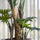 Philodendron Künstlich H: 160cm - Finestgreen