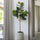 Ficus Lyrata Geigenfeige Künstlich H: 150cm - Finestgreen