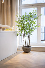 Enkianthus perulatus Kunstpflanze M 180cm - Finestgreen