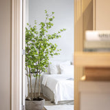 Enkianthus perulatus Kunstpflanze L 210cm - Finestgreen