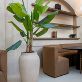 Bananenbaum Künstlich H: 160cm - Finestgreen