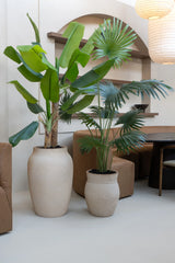 Palme Künstlich H: 160cm - Finestgreen