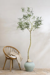 Queensland bottle Baum Kunstpflanze L 200cm - Finestgreen
