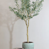 Olivenbaum Kunstpflanze L 180cm - Finestgreen