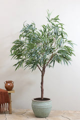 Ficus Alii Baum Kunstpflanze L 180cm - Finestgreen