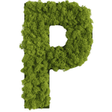 Islandmoos Piktogramm Buchstabe Finestgreen 