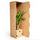 Philodendron Imperial Green Ø:19 H:60 cm Finestgreen 