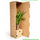 Syngonium Arrow plant in pot, showcasing vibrant green arrow-shaped leaves against a neutral background.
