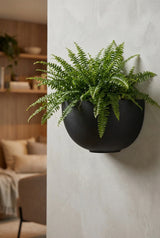 Hanging Wally Peter Wandpflanzschale Schwarz aus Fiberstone – runde Wandschale freigestellt