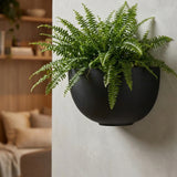 Hanging Wally Peter Wandpflanzschale Schwarz aus Fiberstone – runde Wandschale freigestellt
