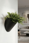 Wandpflanzschale Wally Puk Schwarz aus Fiberstone