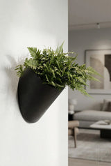 Hanging Wally Puk Wandpflanzschale Schwarz aus Fiberstone – runde Wandschale freigestellt