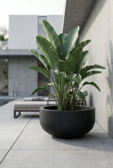 City Bowl Pflanzschale Schwarz aus Fiberstone – runde Schale mit strukturierter Oberfläche