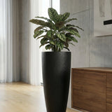 Dax Pflanzkübel Midnight Schwarz aus Fiberstone Granite – im Lifestyle-Setting