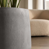 Pflanzkuebel Patt Fiberstone Grau frostfest mit Strelitzia bepflanzt Nahaufnahme boden
