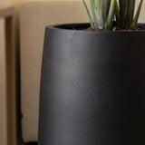 Pflanzkuebel Patt Fiberstone schwarz frostfest mit Strelitzia bepflanzt Nahaufnahme