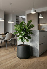 Patt Pflanzkübel Midnight Schwarz aus Fiberstone – im Lifestyle-Setting