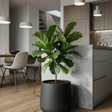 Patt Pflanzkübel Midnight Schwarz aus Fiberstone – im Lifestyle-Setting