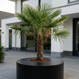 Seating Circle Sitzhocker & Pflanzkübel Schwarz aus Fiberstone