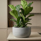 Fiberstone Grau