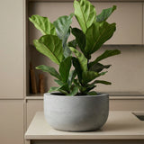 Sunny Pflanzkübel Grau aus Fiberstone – im Lifestyle-Setting