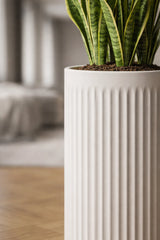 Turris Ionic - Seidenweiß - Finestgreen