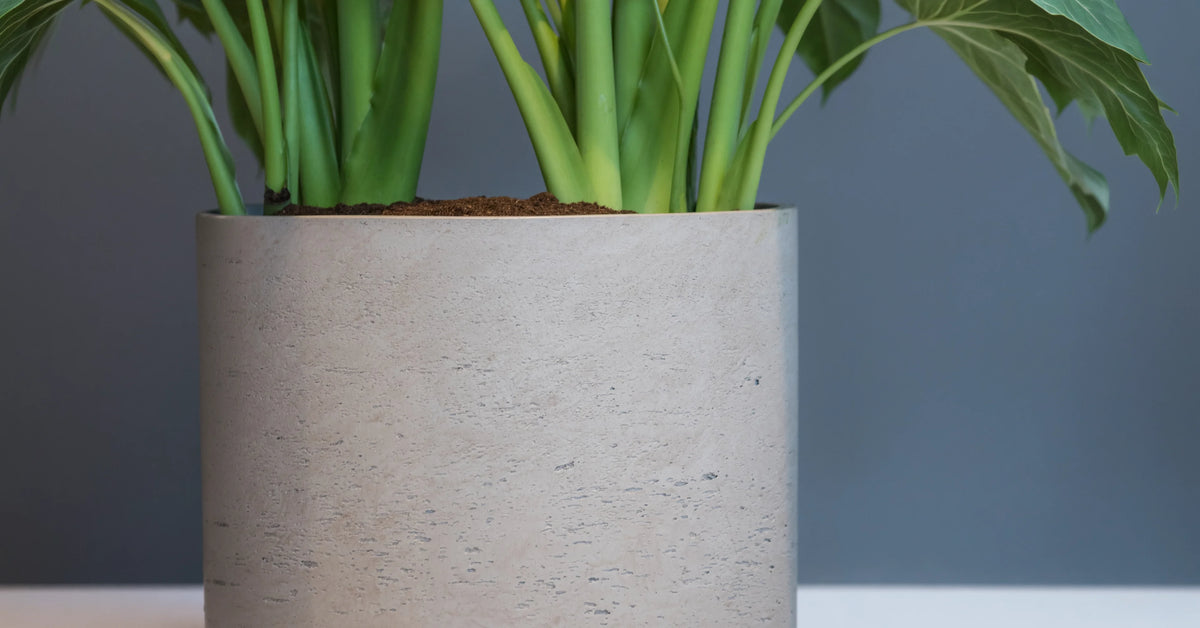 Material – Fiberclay