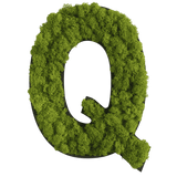 Islandmoos Piktogramm Buchstabe Finestgreen 