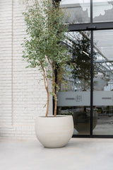 Jumbo Orb Pflanzkübel Grey Washed aus Fiberstone – Größe S1
