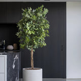 Ficus Baum Künstlich H: 180cm - Finestgreen