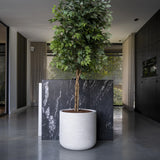 Ficus Baum Künstlich H: 180cm - Finestgreen