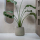 Grau/Beige