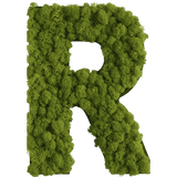 Islandmoos Piktogramm Buchstabe Finestgreen 
